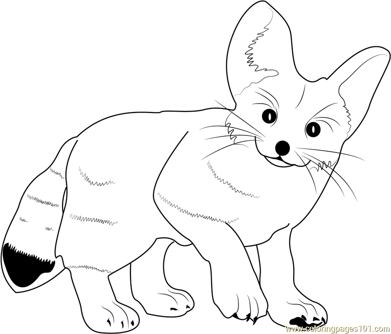 Cute Baby Fox Coloring Pages at GetDrawings | Free download