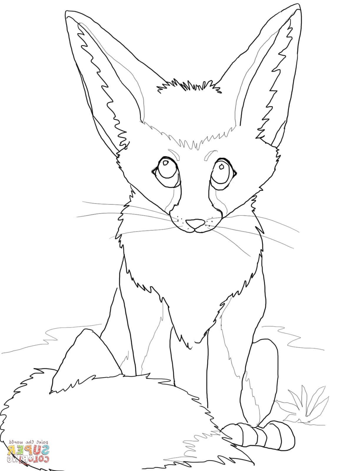 Cute Baby Fox Coloring Pages at GetDrawings | Free download