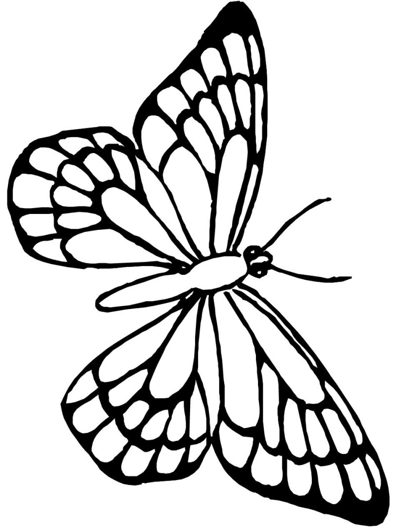 Cute Butterfly Coloring Pages at GetDrawings | Free download