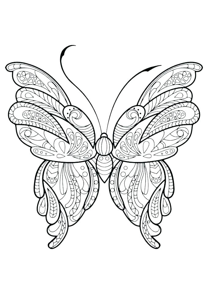 Cute Butterfly Coloring Pages at GetDrawings | Free download