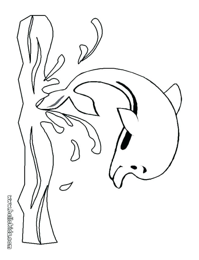 Cute Dolphin Coloring Pages at GetDrawings | Free download