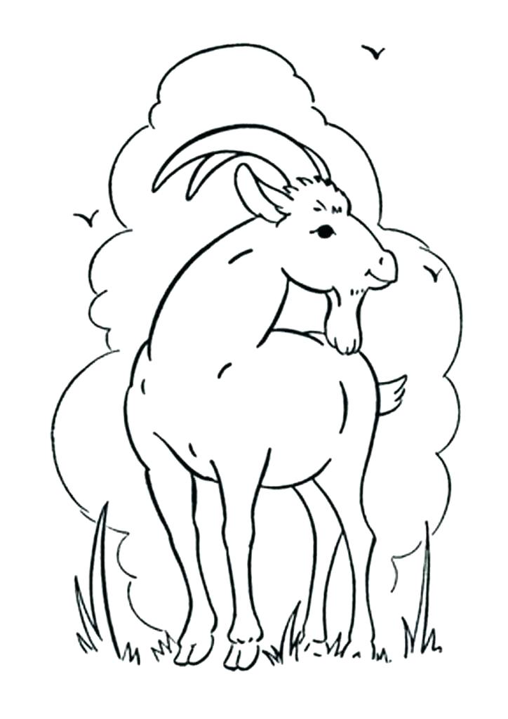 Cute Goat Coloring Pages at GetDrawings.com | Free for personal use