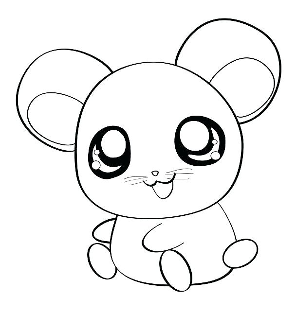 Cute Hamster Coloring Pages at GetDrawings | Free download