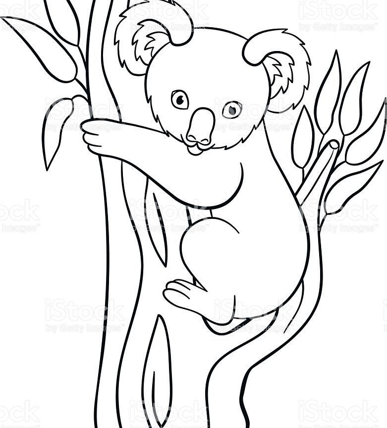 Cute Koala Coloring Pages at GetDrawings | Free download