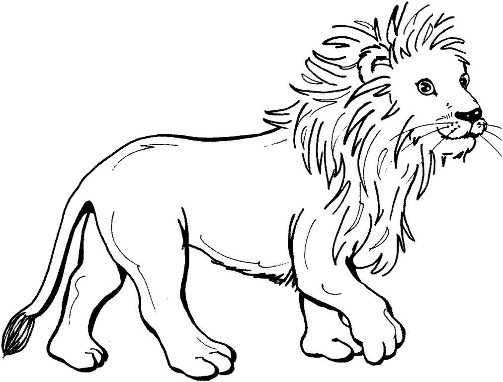 Cute Lion Coloring Pages at GetDrawings | Free download