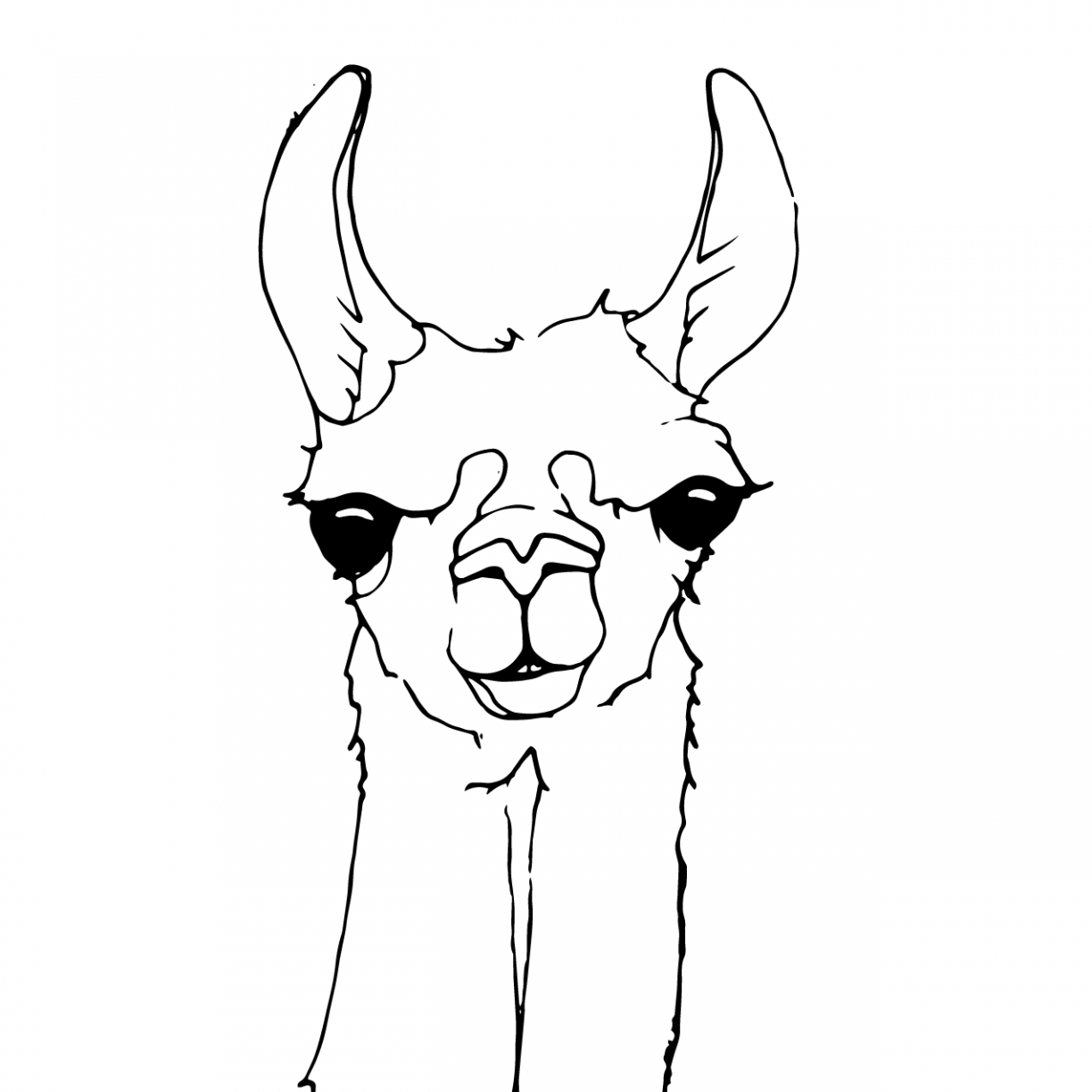 Cute Llama Coloring Pages at GetDrawings Free download