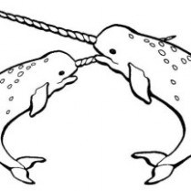 dragonstardesigns: Cute Baby Narwhal Coloring Page