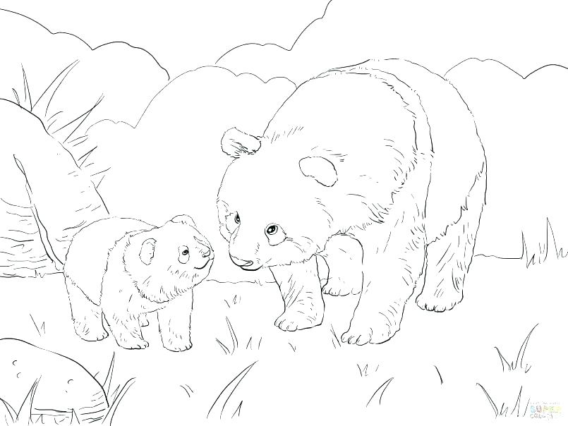 Cute Panda Coloring Pages - Coloring Pages Kids