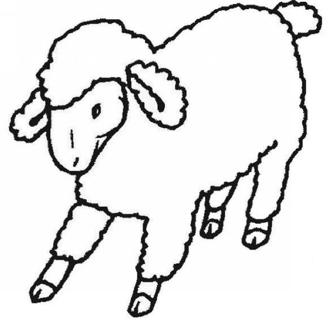 Cute Sheep Coloring Page at GetDrawings | Free download