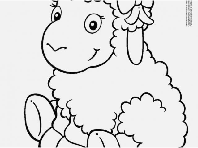 Cute Sheep Coloring Page at GetDrawings | Free download