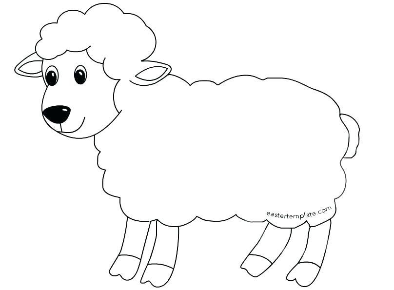 Cute Sheep Coloring Page At Getdrawings Free Download