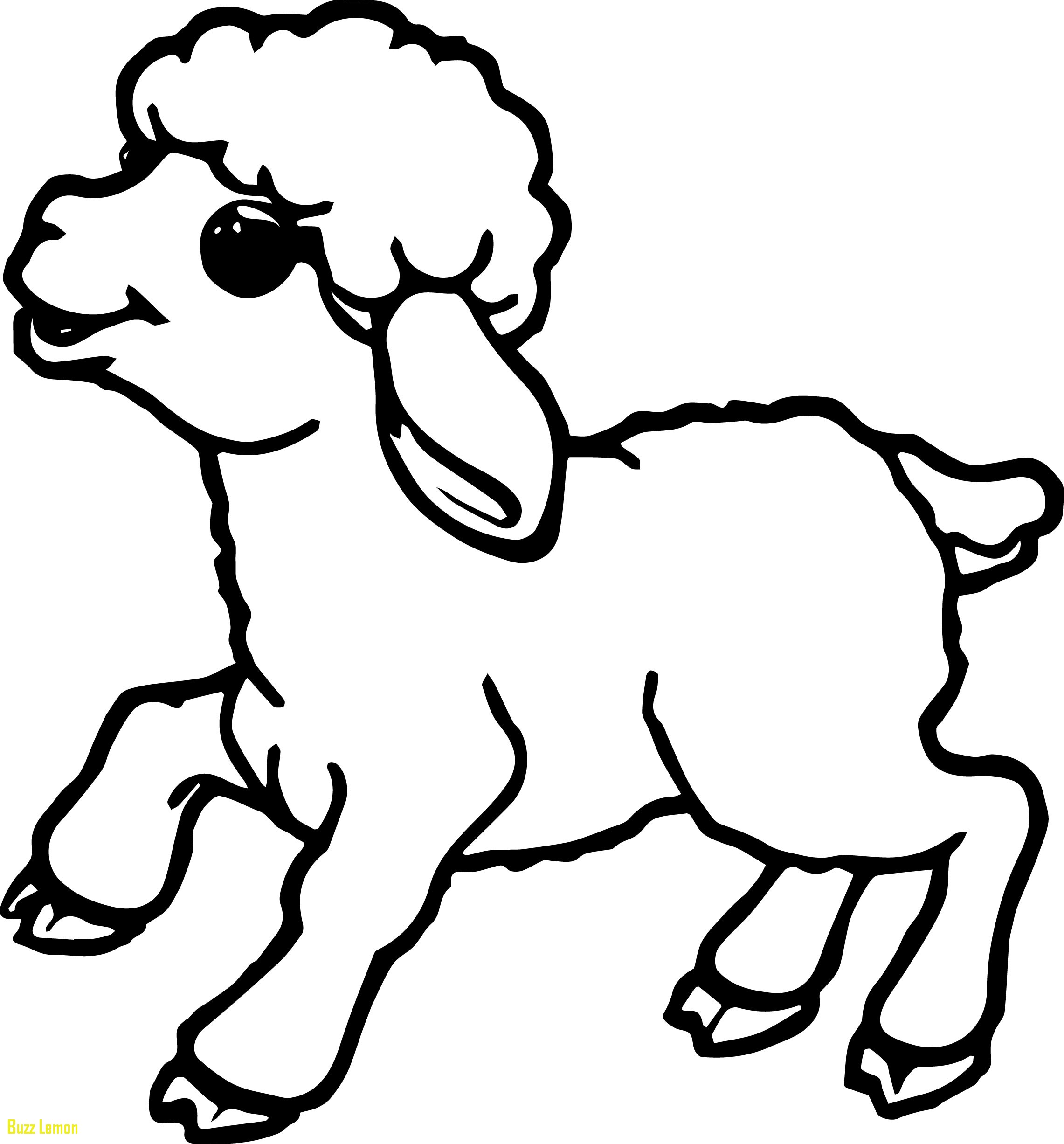 cute-sheep-coloring-page-at-getdrawings-free-download