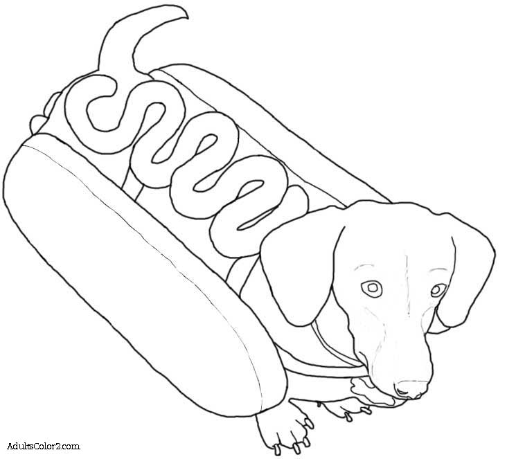 Dachshund Coloring Pages At Getdrawings Free Download