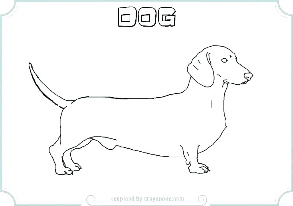 Dachshund Coloring Pages Printable at GetDrawings Free download