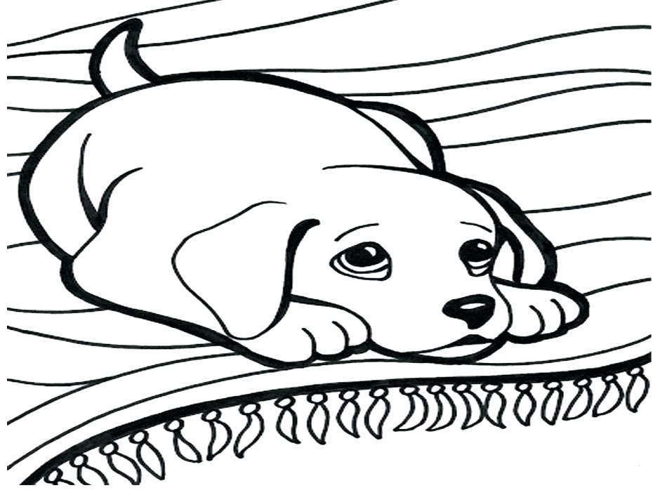 Dachshund Puppy Coloring Pages At Getdrawings Free Download