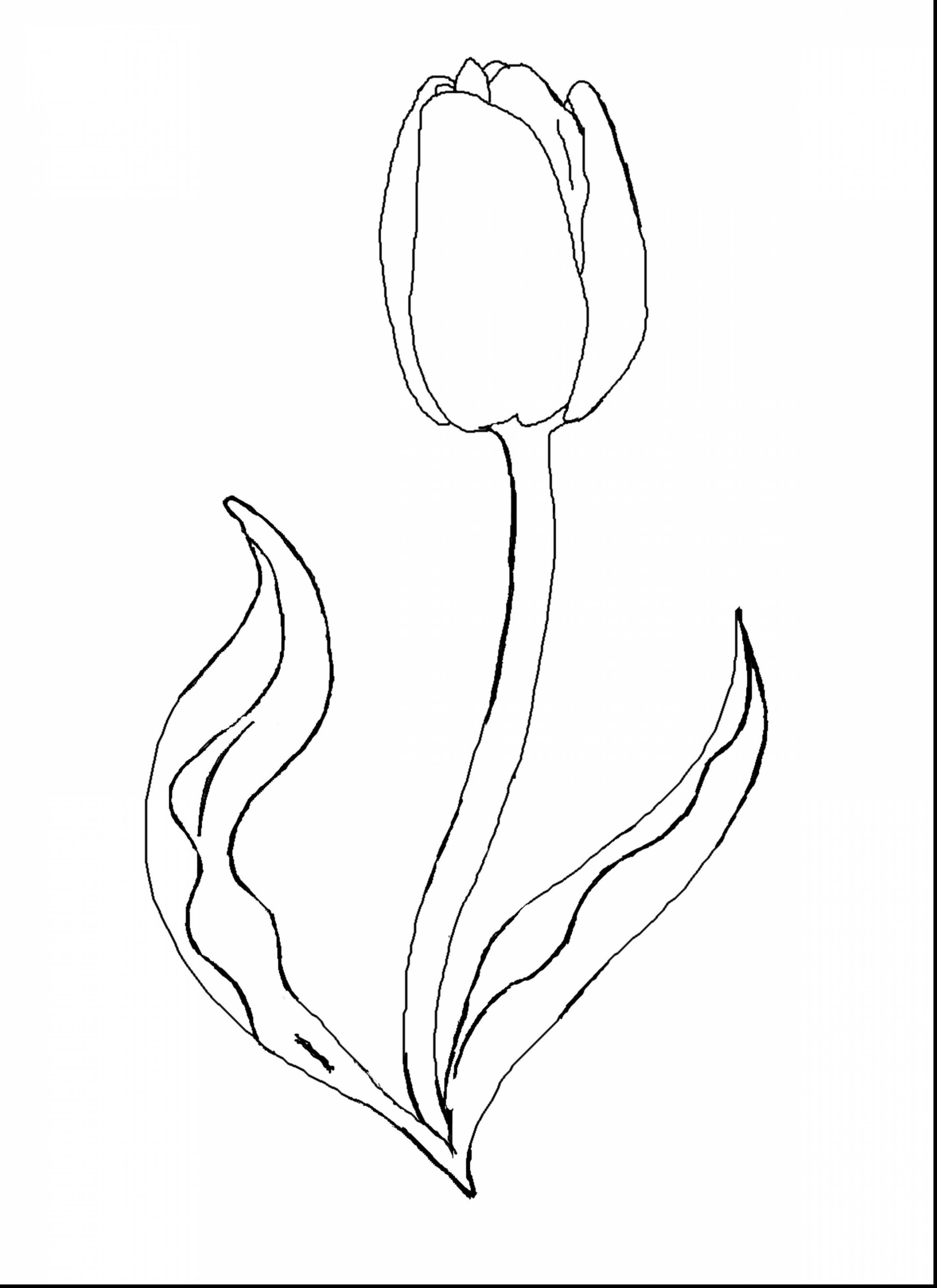 Beautiful Flower Coloring Pages for Kids