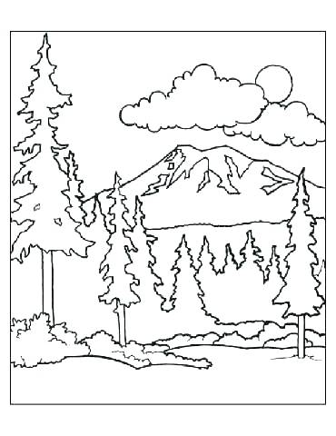 Deciduous Forest Coloring Pages at GetDrawings | Free download