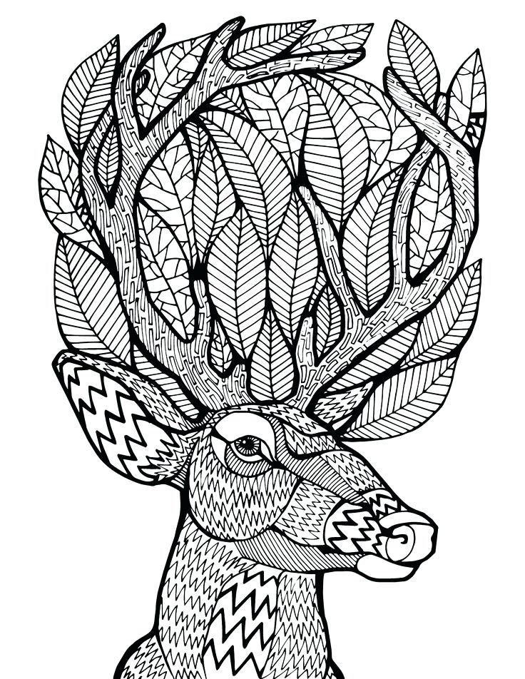 Free Printable Deer Coloring Pages For Adults Printable Templates