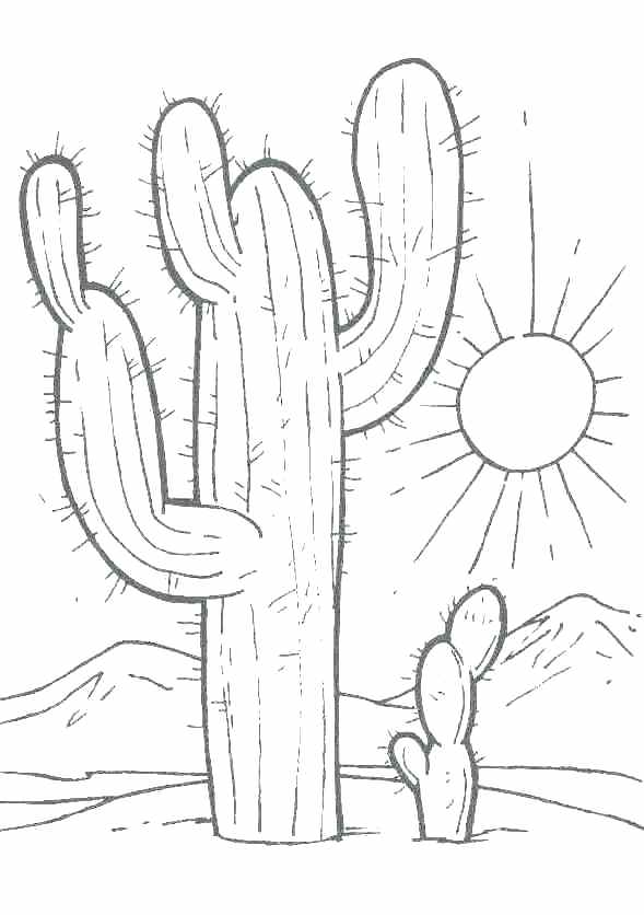 Desert Coloring Pages Printable at GetDrawings Free download