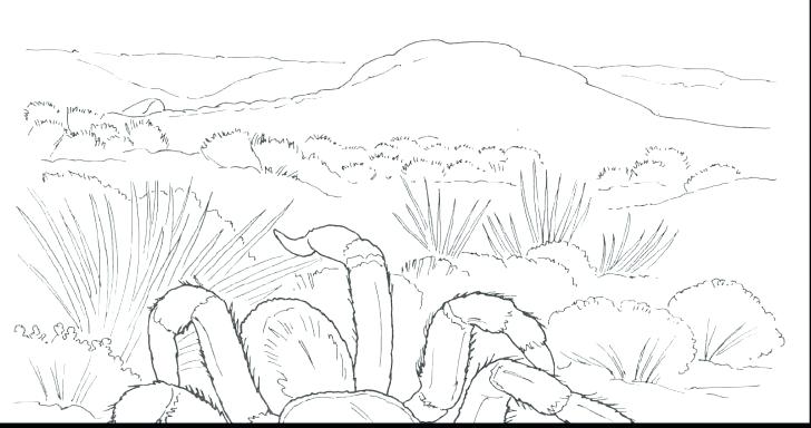 Desert Plants Coloring Pages at GetDrawings | Free download