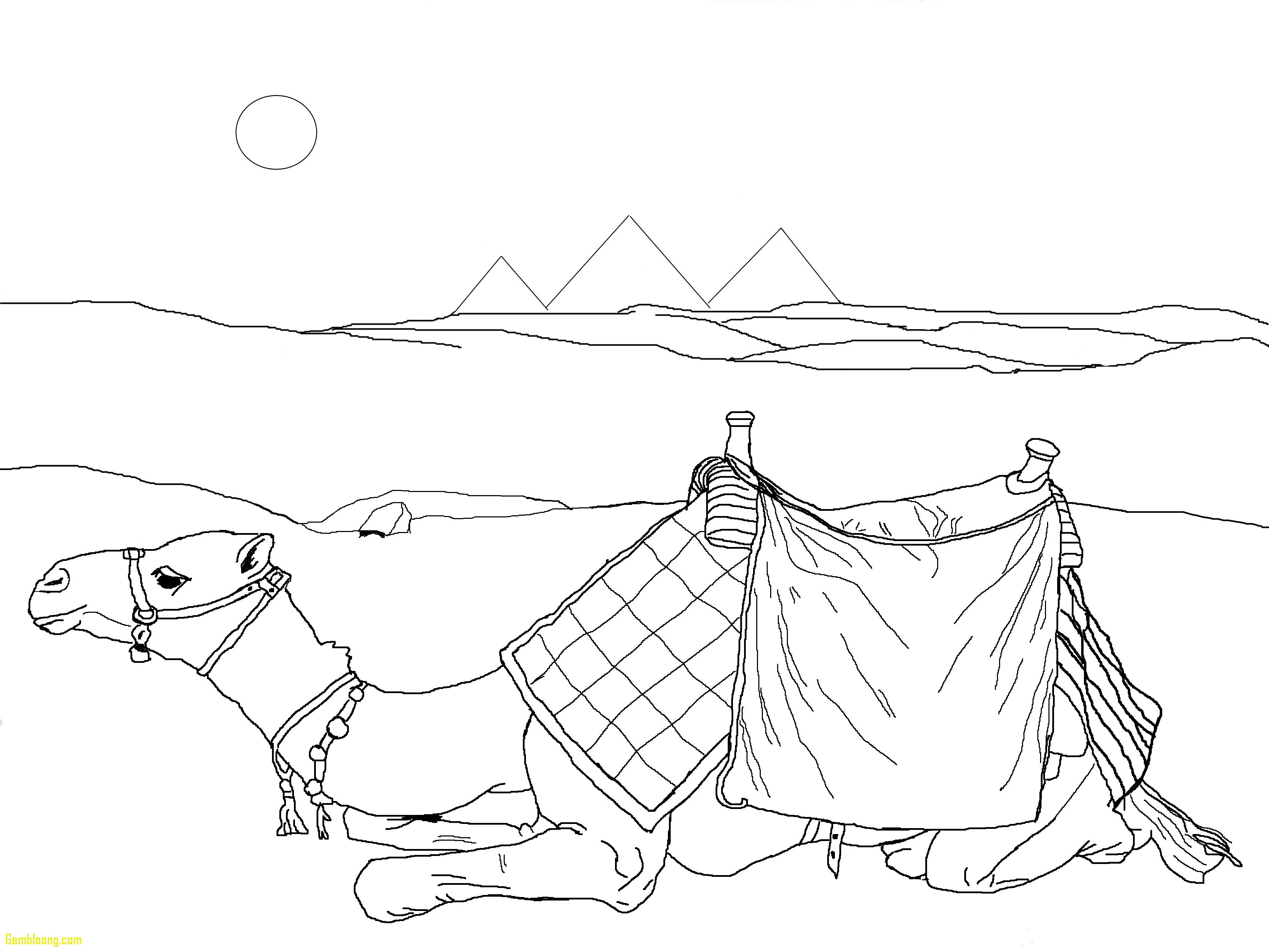 Desert Scene Coloring Page At GetDrawings Free Download