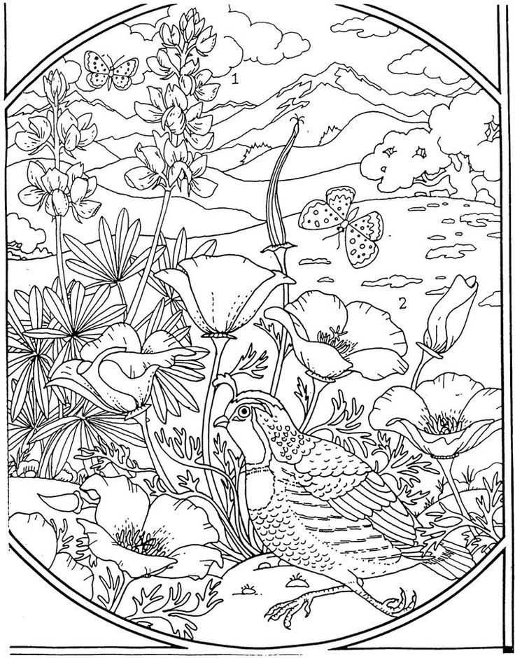 Detailed Landscape Coloring Pages For Adults at GetDrawings | Free download