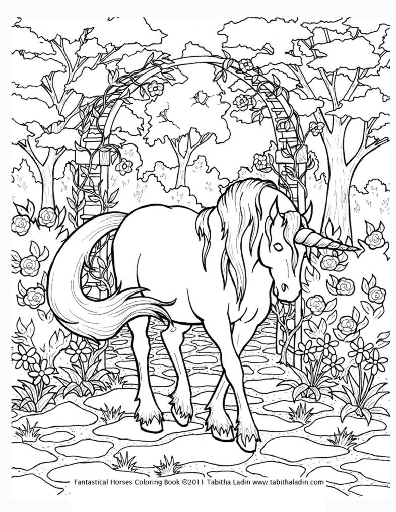 Detailed Unicorn Coloring Pages at GetDrawings | Free download