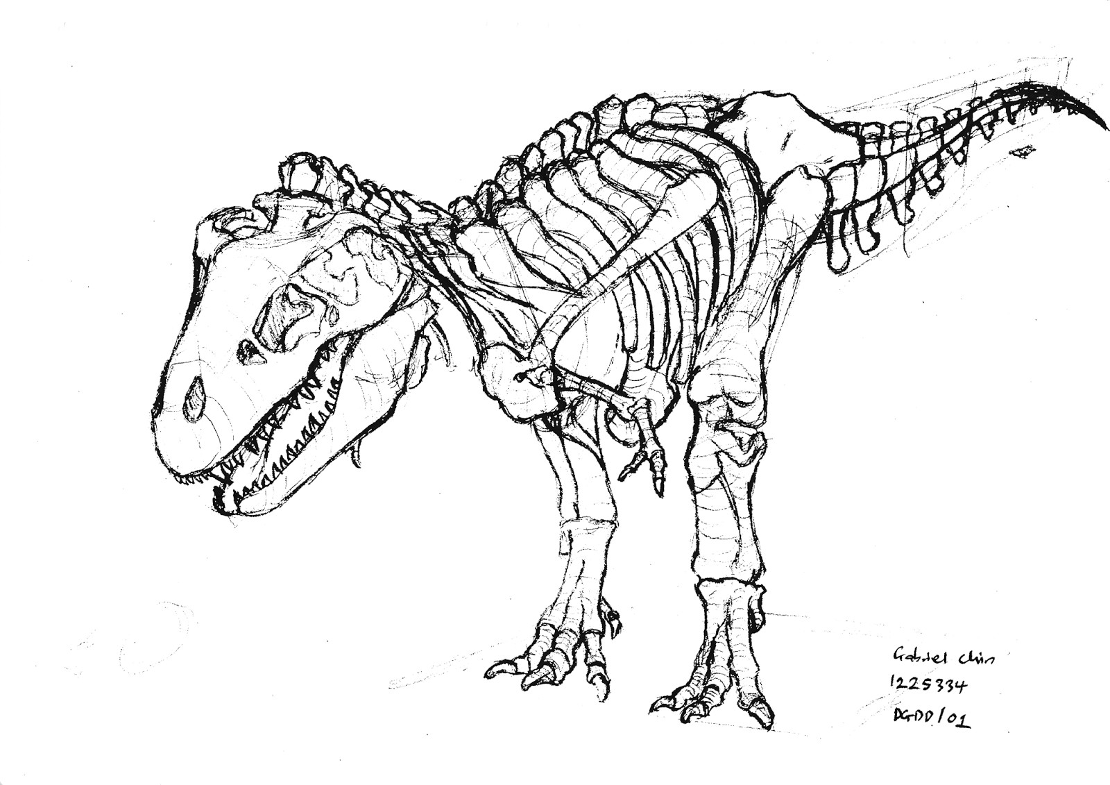 Разукрашка скелет динозавра