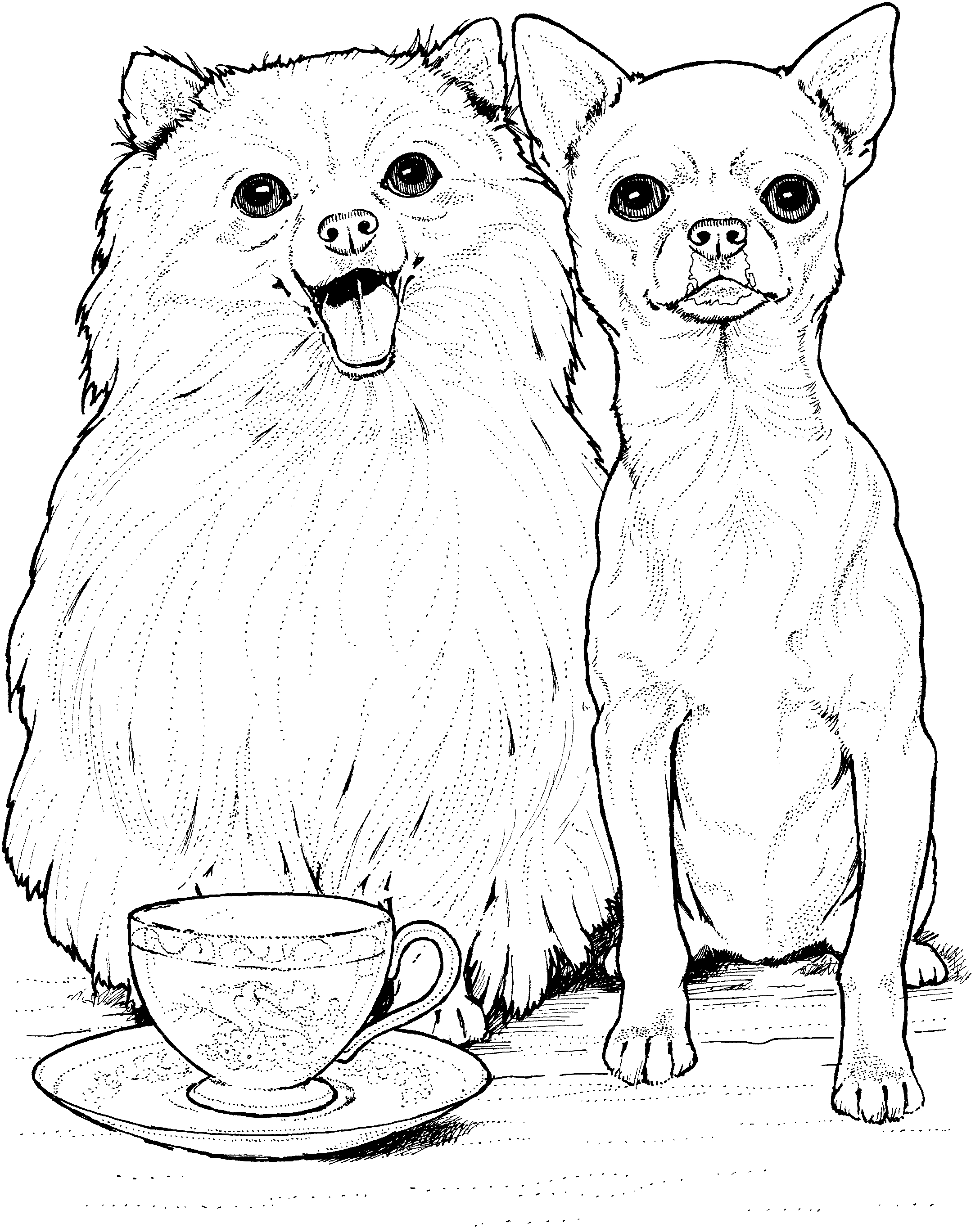 Dog Breed Coloring Pages At GetDrawings Free Download