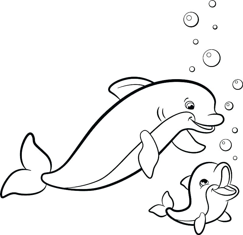 Dolphin Coloring Pages Free Printable at GetDrawings | Free download