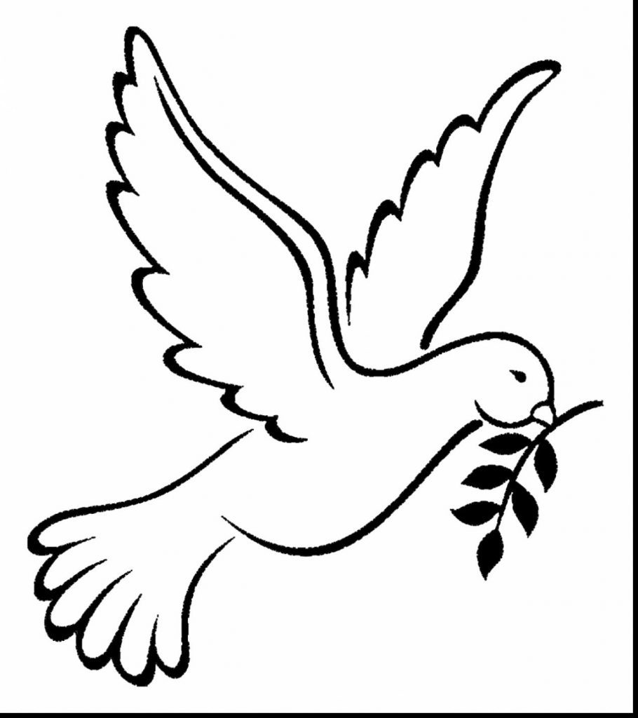 Dove Drawing Outline at GetDrawings | Free download
