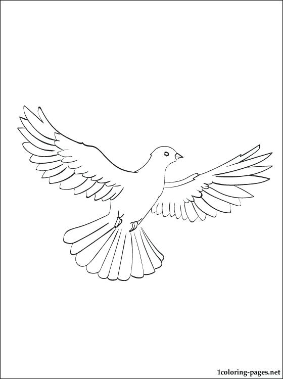 Ornate Dove Coloring Page