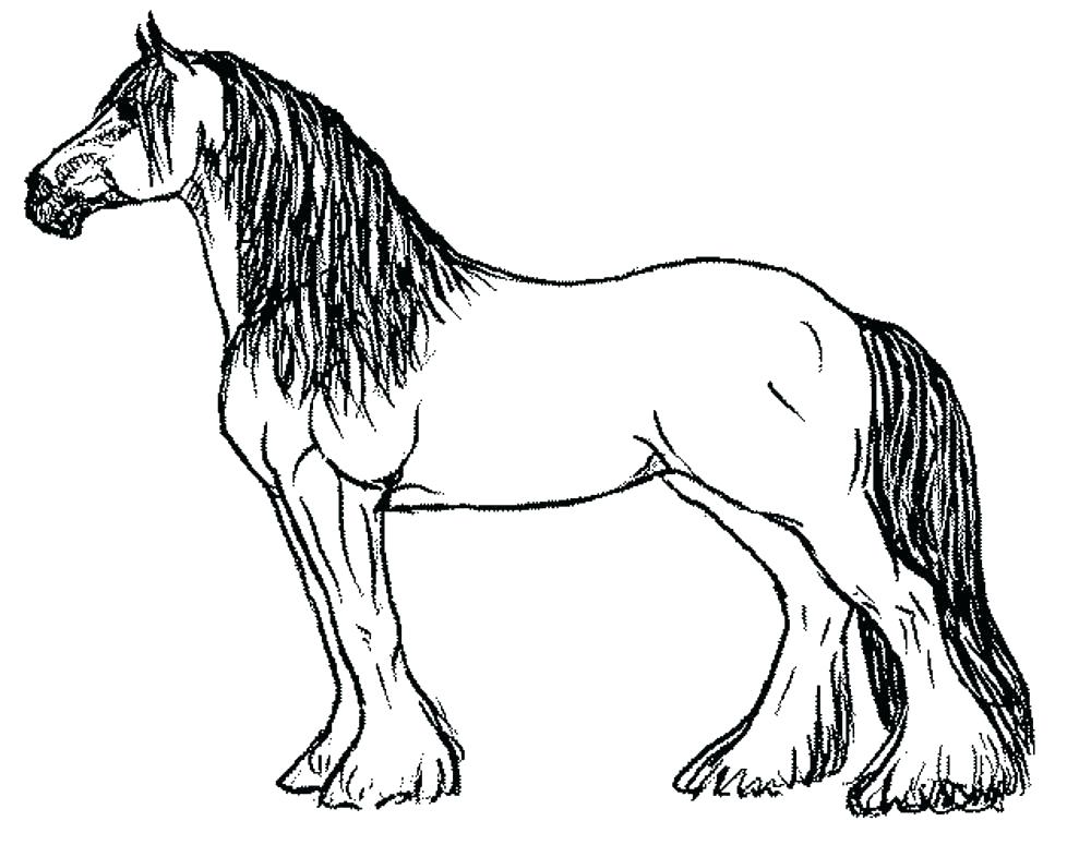 Draft Horse Coloring Pages at GetDrawings | Free download