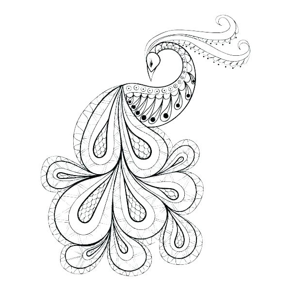 Eagle Feather Coloring Page at GetDrawings | Free download