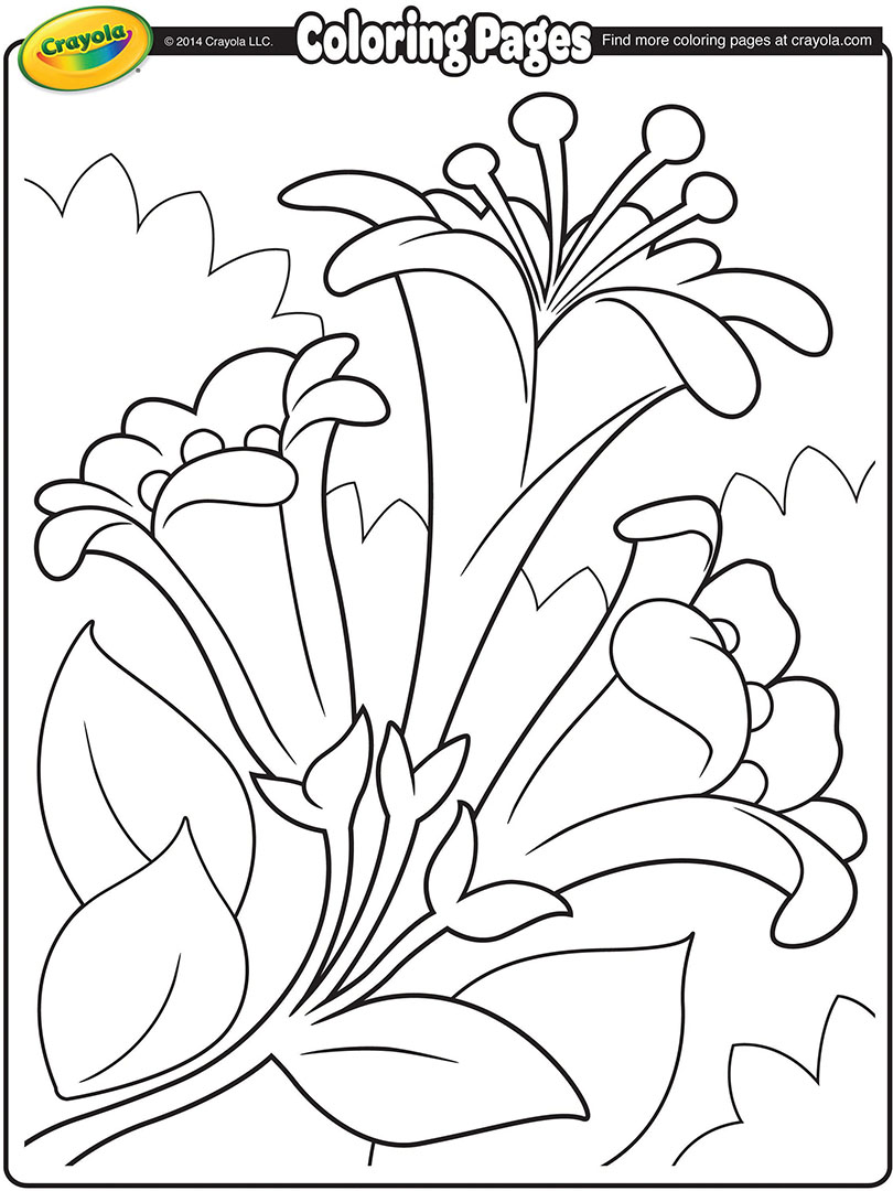 Easter Lily Coloring Page at GetDrawings | Free download