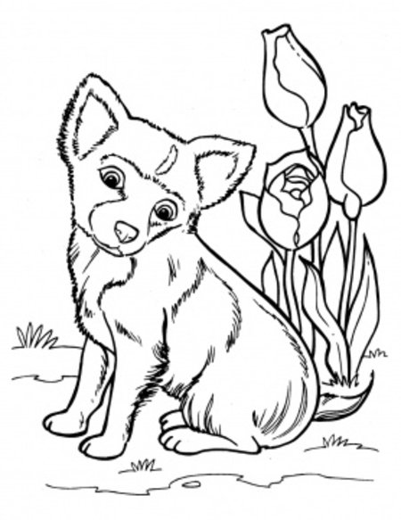 Easter Puppy Coloring Pages at GetDrawings | Free download