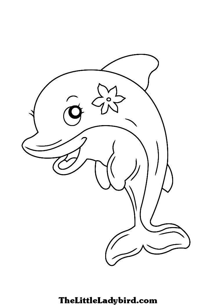 Easy Dolphin Coloring Pages at GetDrawings | Free download