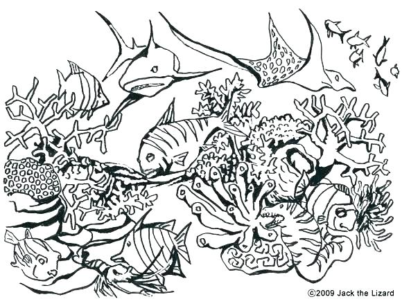 ecosystem-coloring-pages-at-getdrawings-free-download