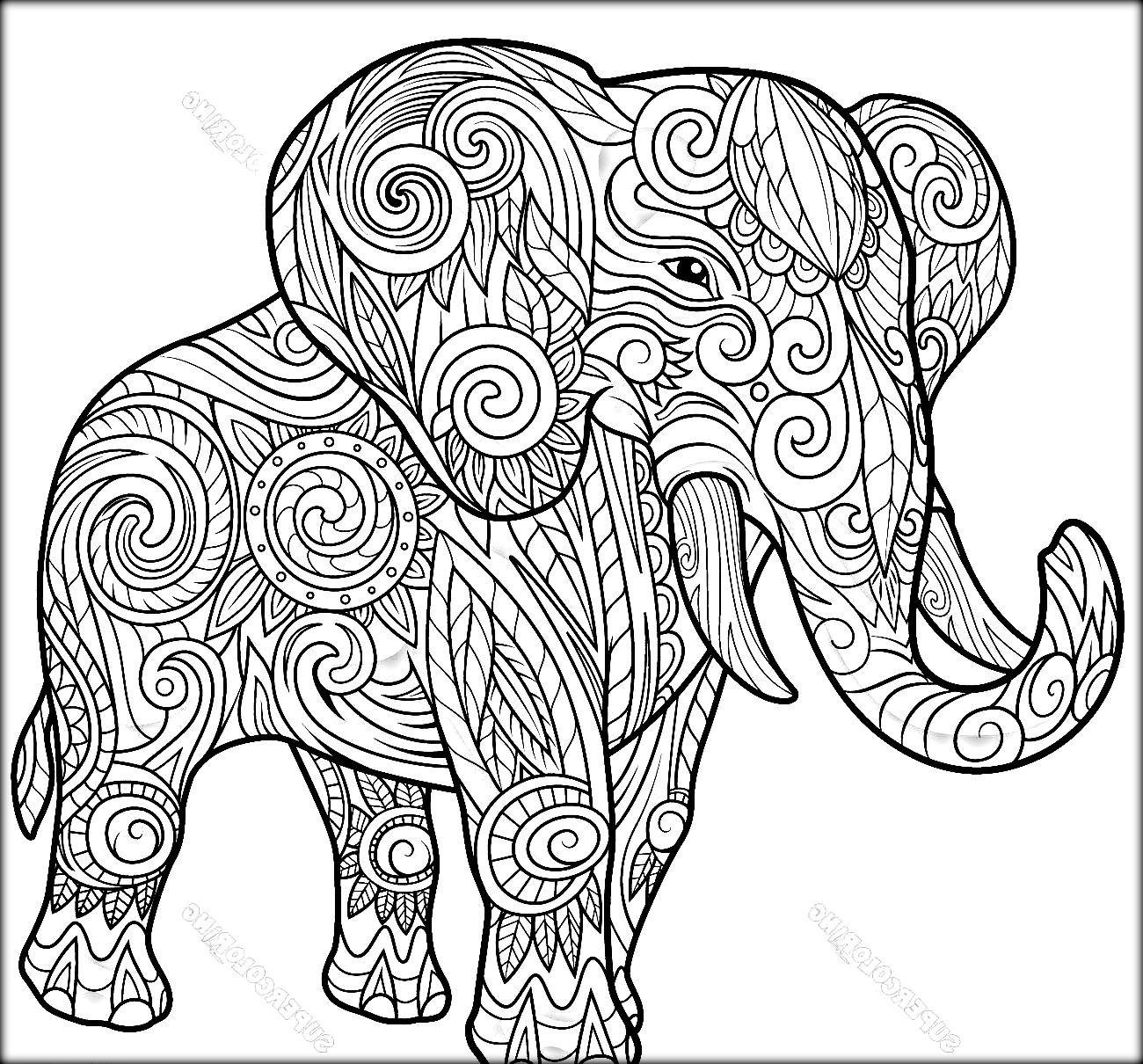 Elephant Adult Coloring Pages at GetDrawings | Free download