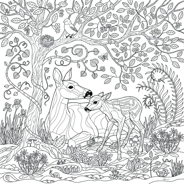 Enchanted Forest Coloring Pages at GetDrawings Free download