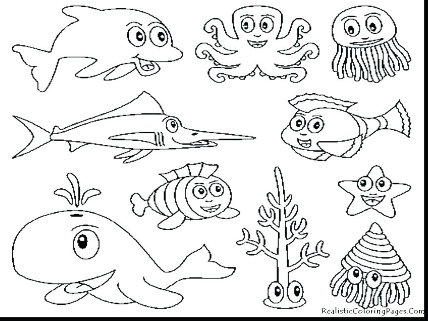 The best free Endangered coloring page images. Download from 83 free