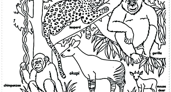 Coloring Pages Endangered Animals - Endangered Ocean Animal Coloring