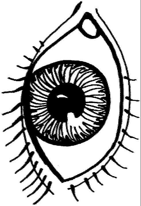 Eye Coloring Pages For Preschool At Getdrawings Free Download