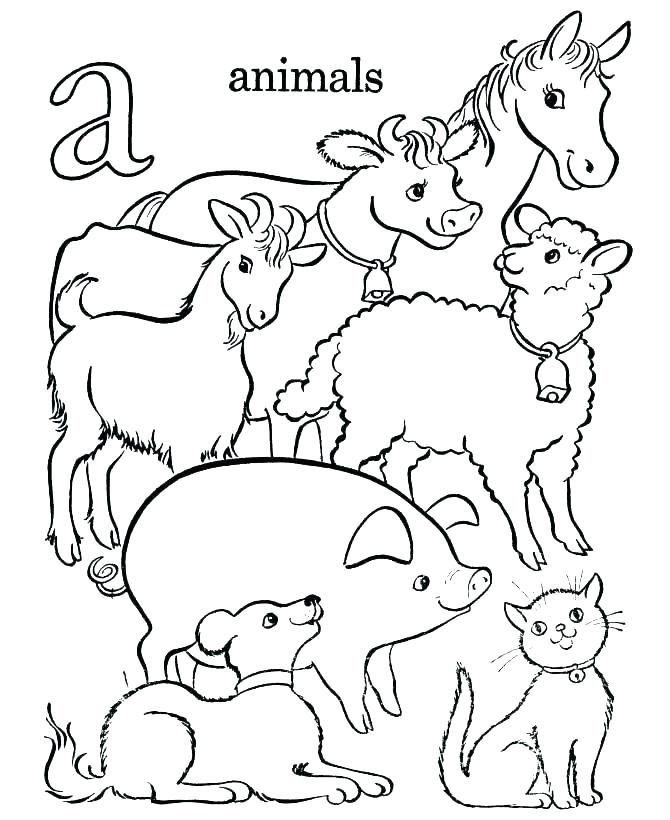 Farm Animal Coloring Pages For Toddlers at GetDrawings | Free download