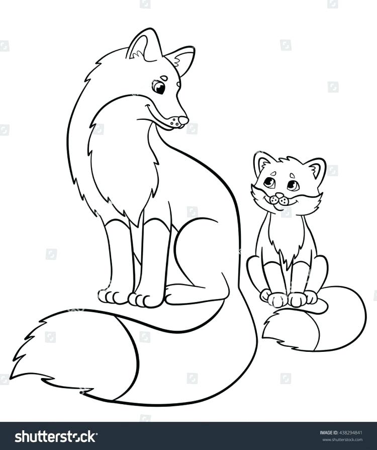 Fennec Fox Coloring Page at GetDrawings | Free download