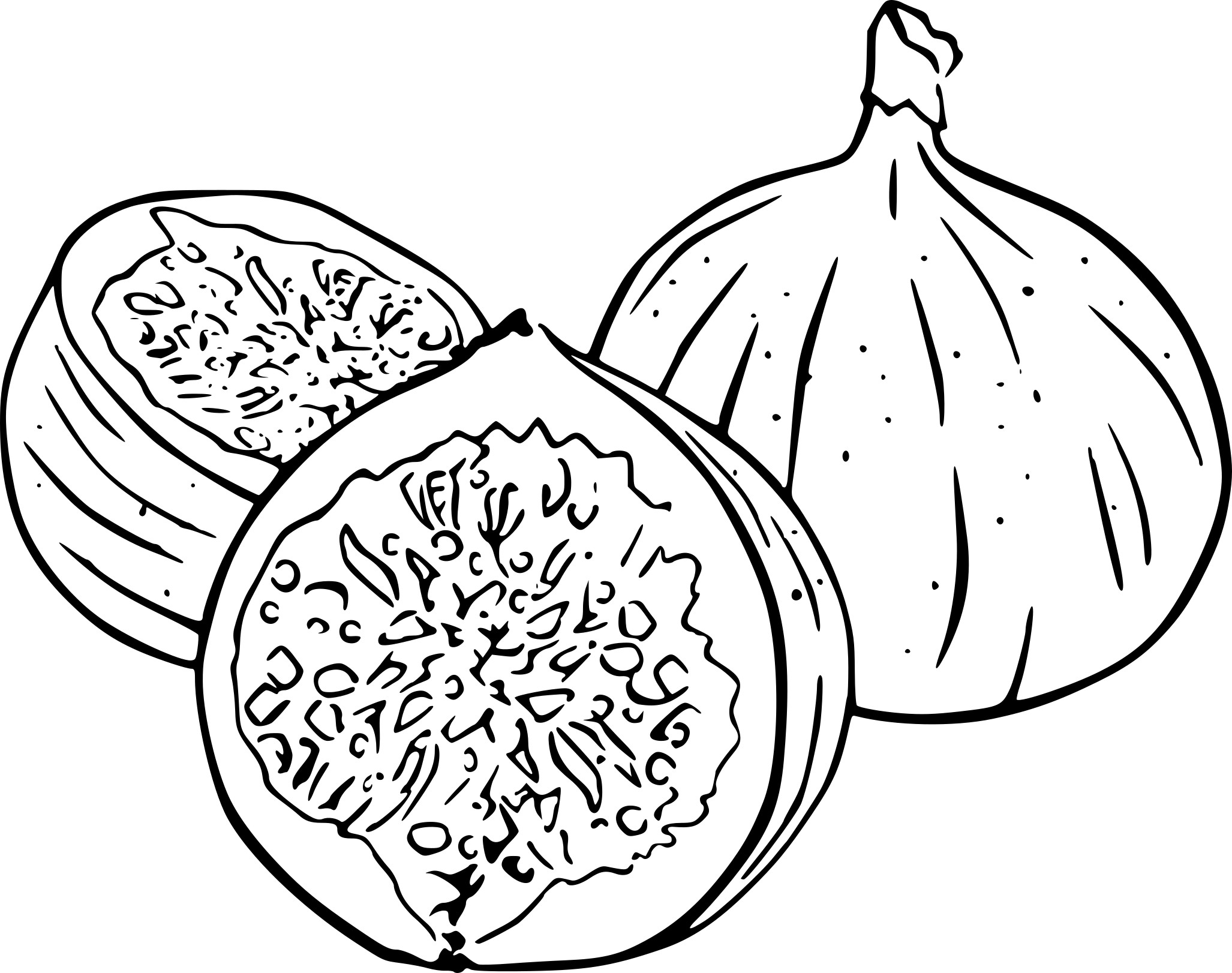 2054x1622 Figs Coloring Page.