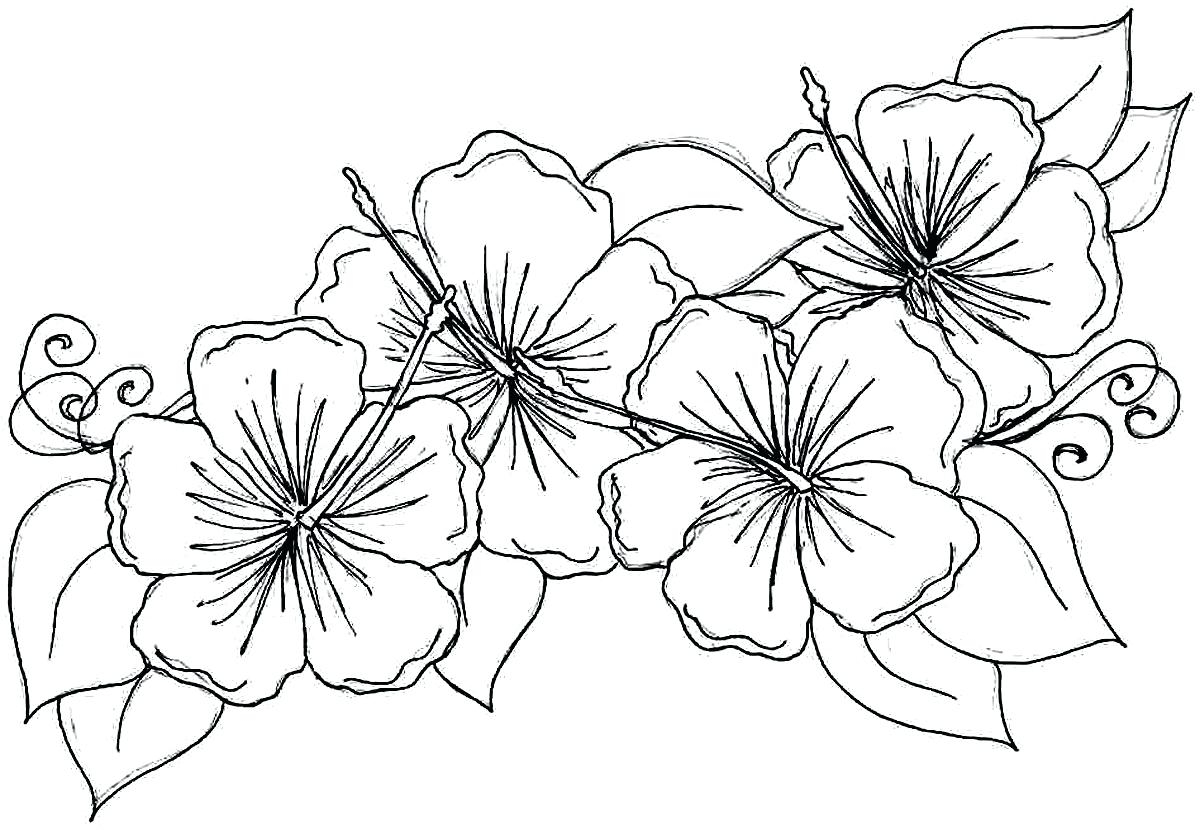 Simple Flower Coloring Pages For Adults / Simple Flower Coloring Pages