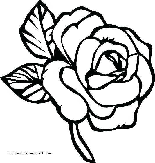 Flower Coloring Pages For Toddlers at GetDrawings | Free download