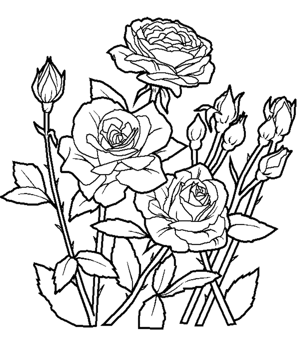 Flowers Coloring Pages Rose at GetDrawings | Free download
