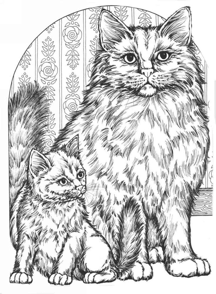 fluffy cat coloring pages